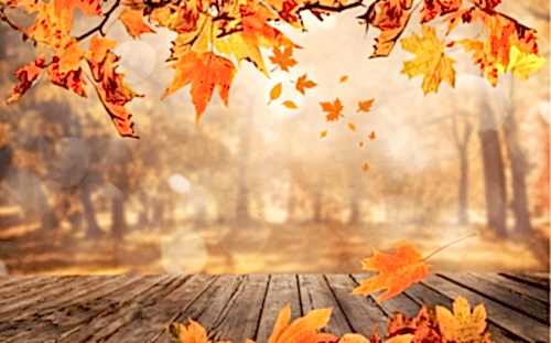 Sonbaharda Yapabileceğiniz Aktiviteler